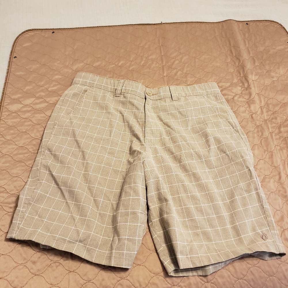 Hang ten shorts